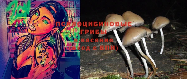 прущая мука Армянск