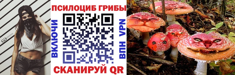 Псилоцибиновые грибы MAGIC MUSHROOMS  дарнет шоп  Когалым 