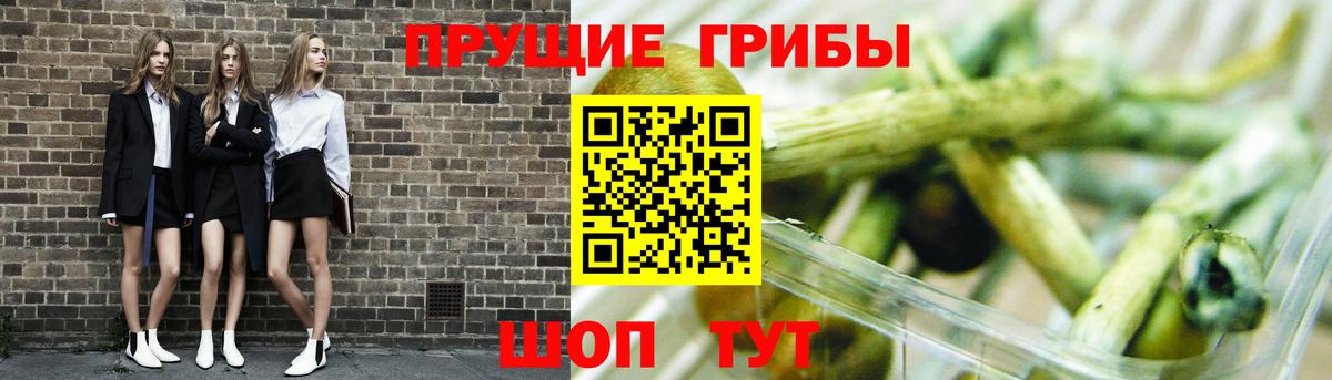 Псилоцибиновые грибы прущие грибы Когалым